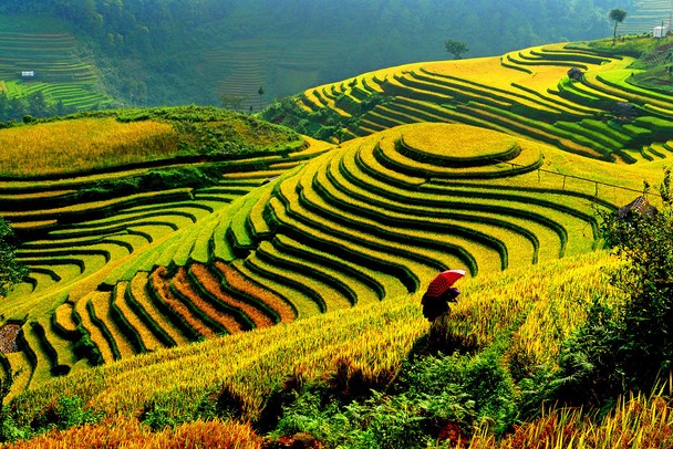 Thời[-]tiết[-]ngày[-]14/12:[-]Bắc[-]Bộ[-]sáng[-]sớm[-]và[-]đêm[-]trời[-]rét,[-]trưa[-]chiều[-]hửng[-]nắng